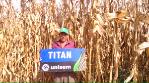 Antonio Godínez Serrano