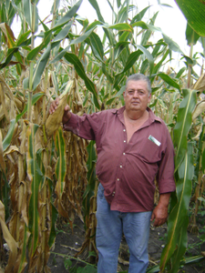 Rogelio Guevara Sevilla