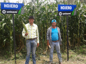 Crisóforo Cabrera Sánchez