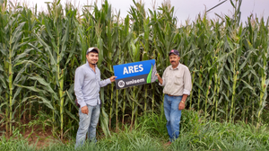 José Guadalupe Velázquez