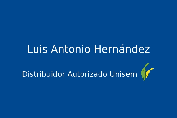Luis Antonio Hernández